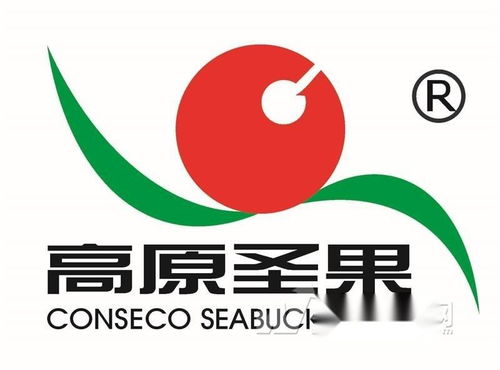 高原圣果沙棘制品 同順廣告傳媒，讓健康與品牌同頻共振